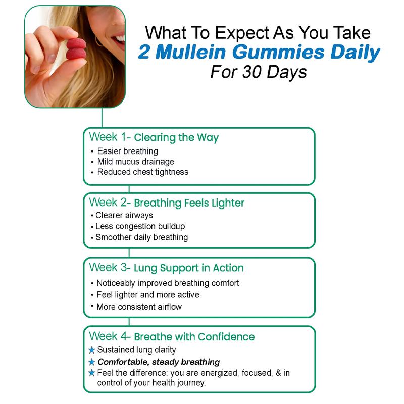 Mullein Magic Gummies- For Lungs & Respiratory Health, Mix Berry Falvor