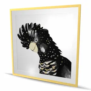 Begin Home Decor C1FM48480DZ7WF 48 x 48 in. Cockatoo Parrot Framed Matted Print Wall Art - Exotic Feathers Decor