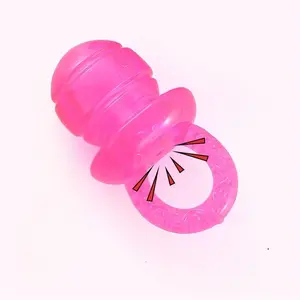 Chew Toy for Small Puppies and Dogs, Durable Dental Rubber Pacifier Toy for Teething, Interactive Fun and Oral Care