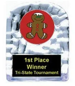 BuyAwardsandTrophies Gingerbread Cracked Ice Award - Plastic Trophy with Base, Awards and Trophies for Fun Contests, Prizes for Adults and Kids White, 4.25"