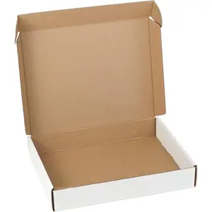 10 Pack 12"x9"x2" inch Small Shipping Boxes White Corrugated Cardboard Box for Small Business, Mailer, Shipping, and Packing