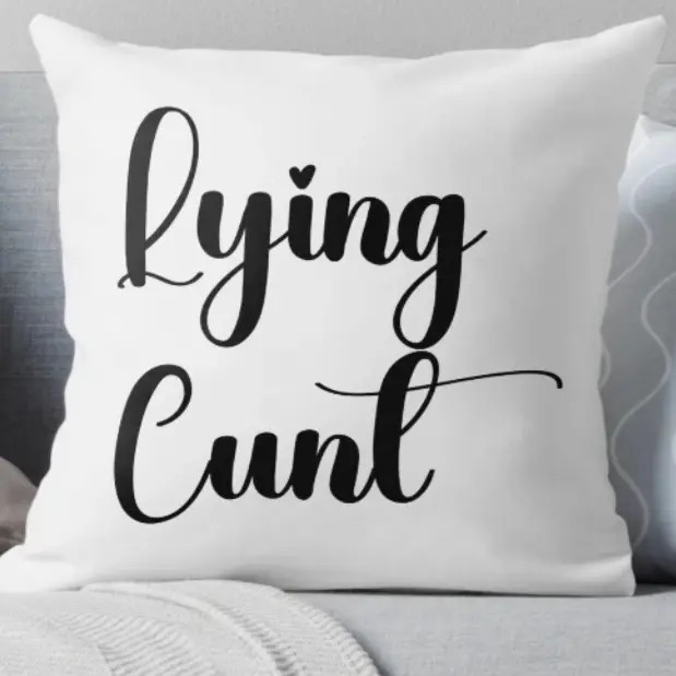 C*%# Ugly pillow As Seen on Somebody Somewhere