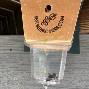 Best Bee Brothers, Ultimate Pro Carpenter Bee Trap 2-traps-in-1, Carpenter Bees