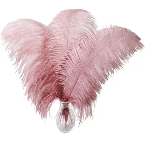 Ostrich Feathers Bulk- 16-18 inch 10 count Feathers for Cfafts,Wedding Party Centerpieces, and  Decorations (Lotus )