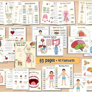 Interactive Anatomy Book for Kids & Adults, Educational Learning Toy, Perfect Gift for Children & Teens, Fun Activity Workbook, Learning Materials
