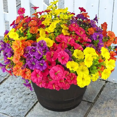 Multicolor Decorative UV-Resistant Faux Morning Glory Fake Flowers with Fruit Accent - Realistic Artificial Plants for Outdoor Spring-Summer Planter Decoration