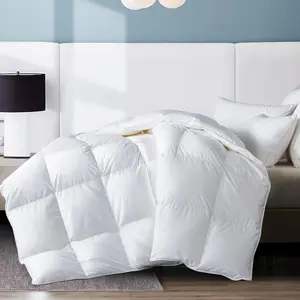 Queen Feather Comforter, Filled with Feather and Down, White Lightweight Duvet Insert - Luxurious Bed Blanket Comforter -100% Cotton Shell - Queen Size 88x88 Inch
