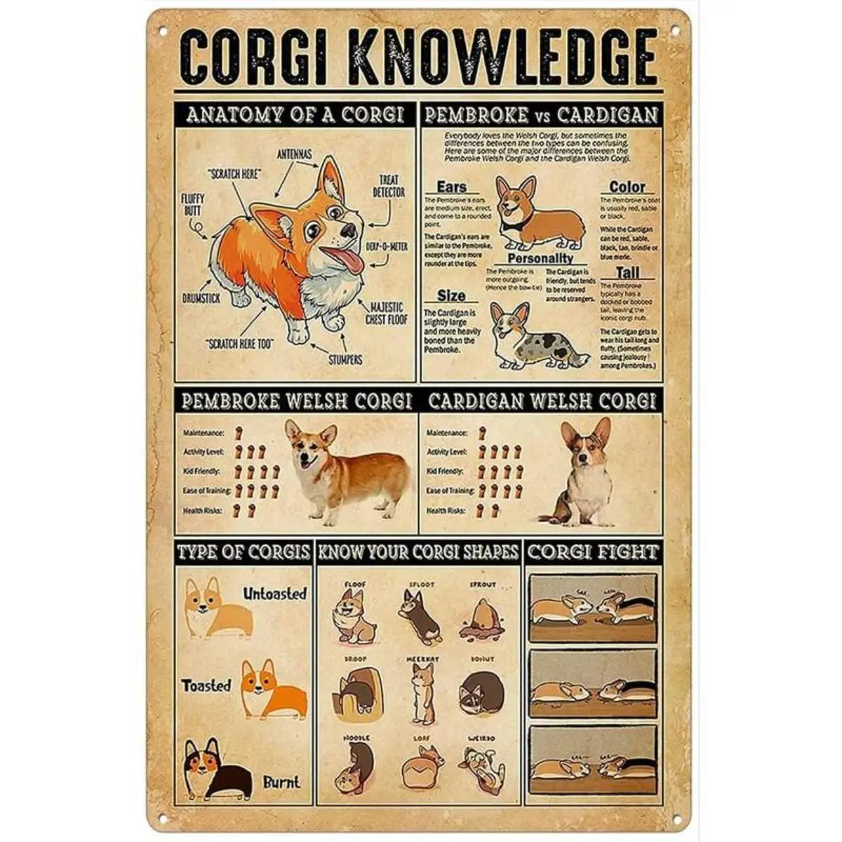 Metal  Sign 8 X 12 Inches Corgi Knowledge Poster, Funny Corgi Dog Poster, Funny Dog Poster, Vintage Corgi Lover Gift, Retro Poster Home Decoration Art Poster Metal Sign Painting