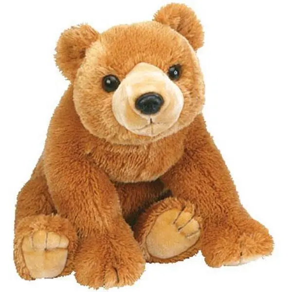 TY Classic Plush - CAMPER the Bear (9.5 inch) - MWMTs