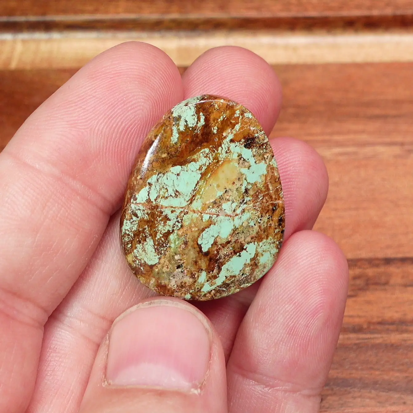 Evan's Mine Turquoise Cabochon