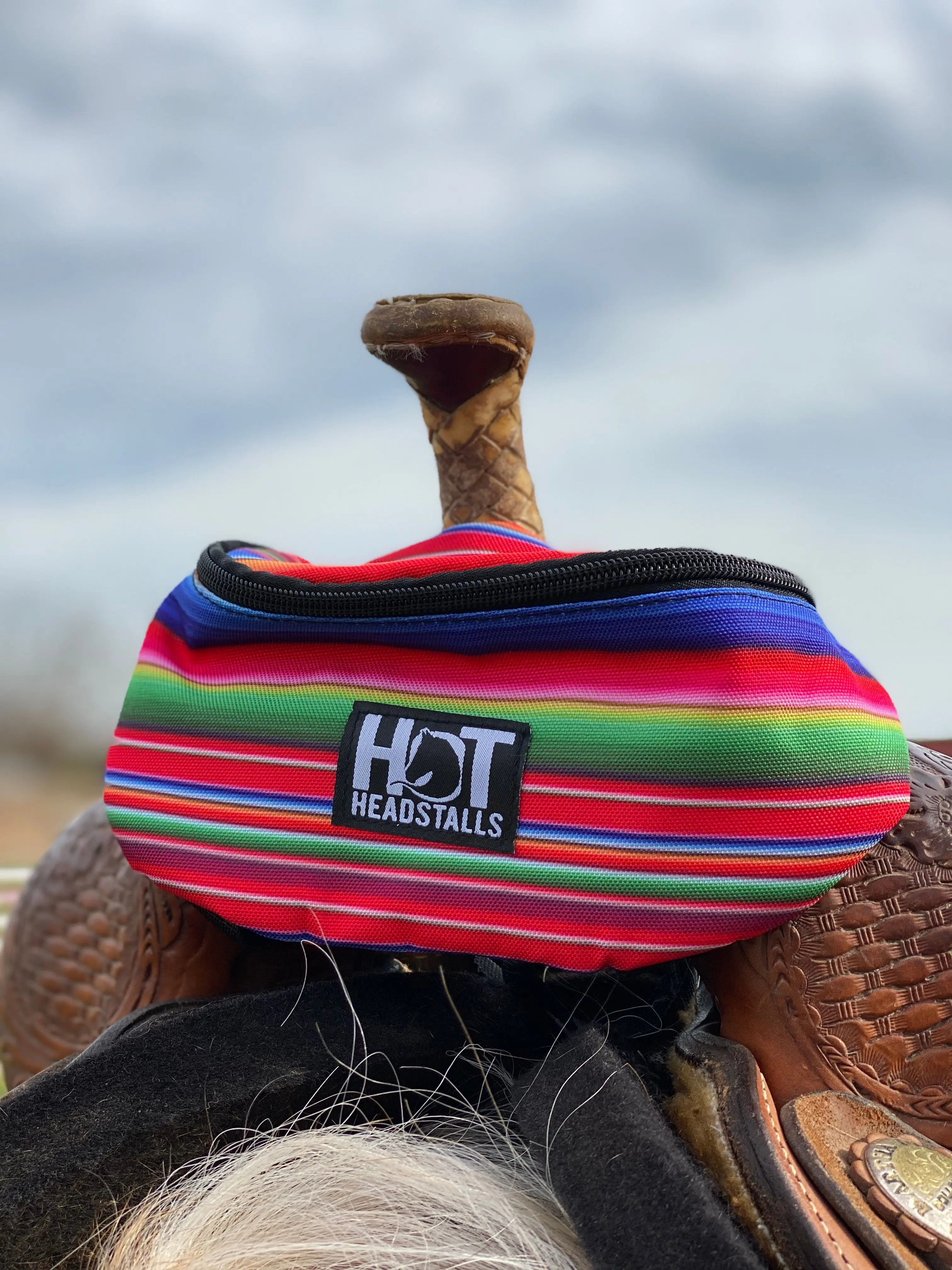 Serape Saddle Pouch