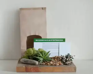 Grab Bag Terrarium, Air Plant Moss Garden, Air Plant Terrarium, DIY Terrarium Kit, Grab Bag. Woodland Decor, Air Plant Moss Gift, Air Plant