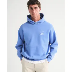 Abercrombie & Fitch Sperry Graphic Popover Hoodie