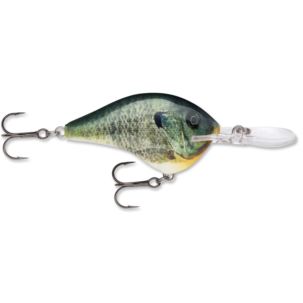 Live Bluegill