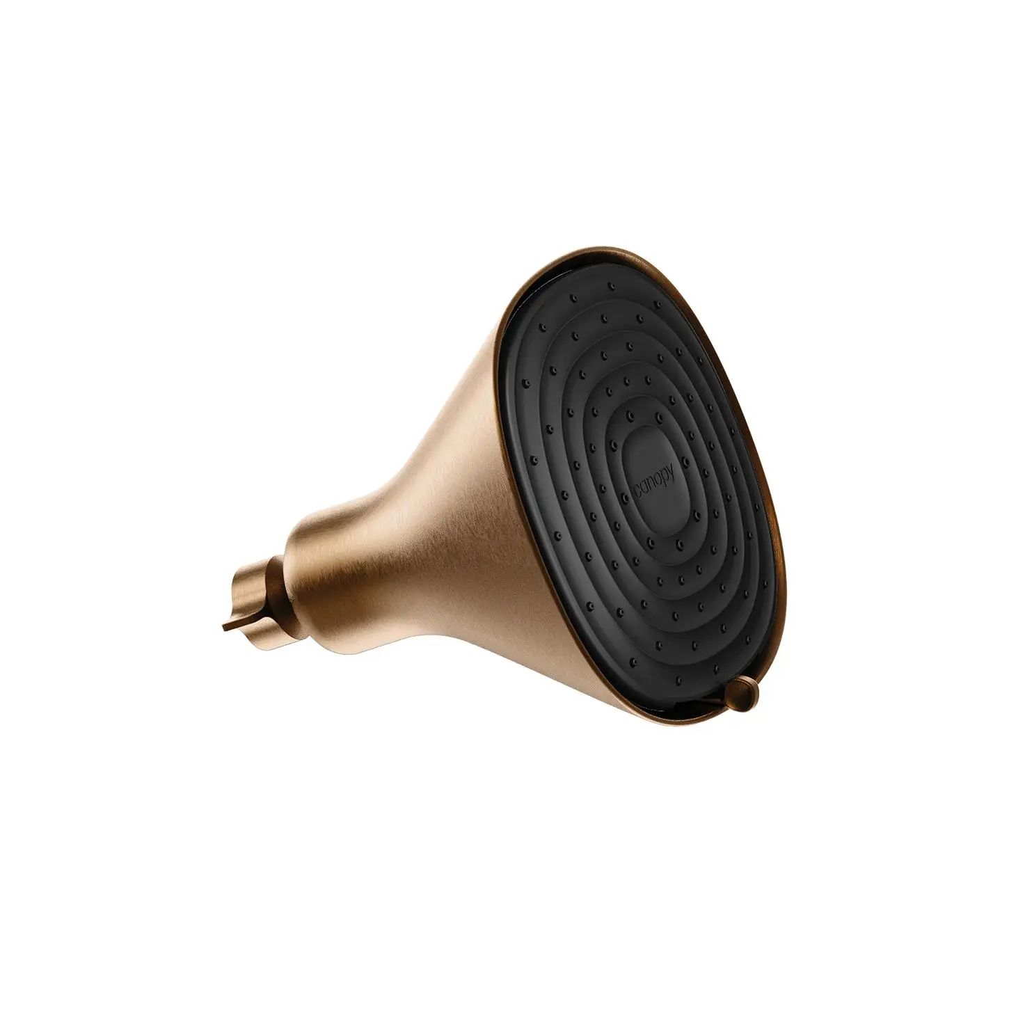 Canopy Filtered Showerhead in Brass