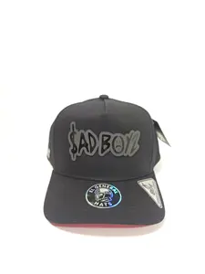 Gorra Imagen Sad Boyz, Black Snapback with Imagen Sad Boyz, Gorra de Sad Boyz de alta calidad, Sad Boyz Hat