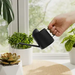 Bamworld Small Watering Can for Indoor and Outdoor Plants - Black Metal Stainless Steel Long Spout - 10OZ Watering Bottle for House Garden Plants