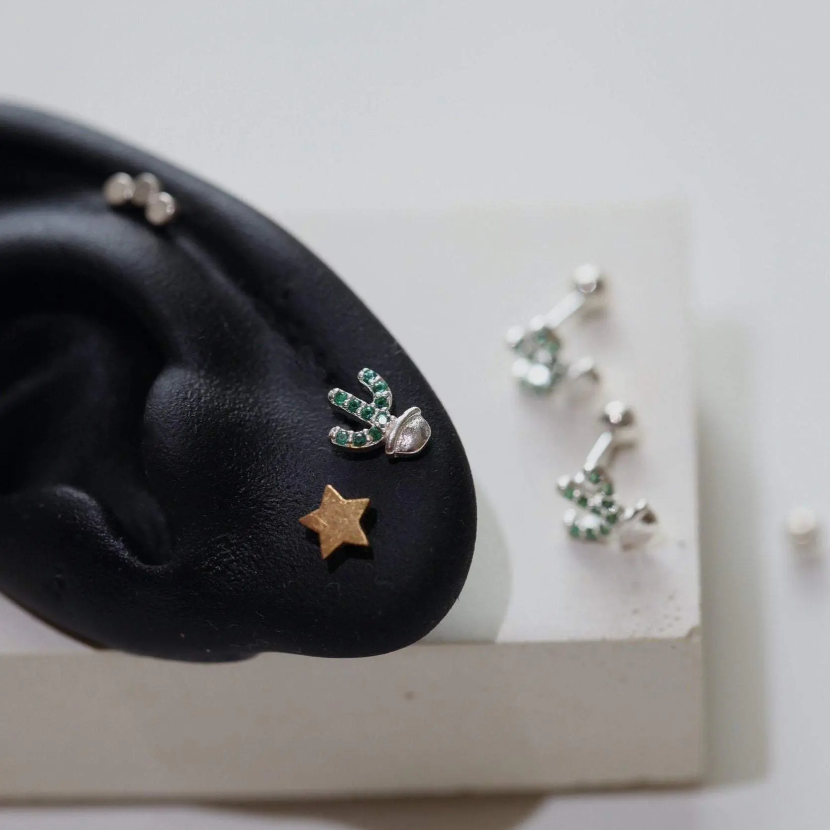Succulent Plant Earrings