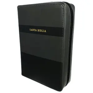 Biblia Letra Grande con Forro Organizador RV 1960 imit. piel negro y gris con índice - My Organizer Bible®