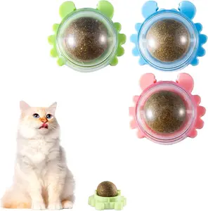360° Catnip for Cats Wall Catnip Rollerball Licking Ball Cat Nips Mint Magic Cat Stick on Wall Crack Balls Lickable Play Chew Teeth Cleaning Pet Chew Indoor Outdoor