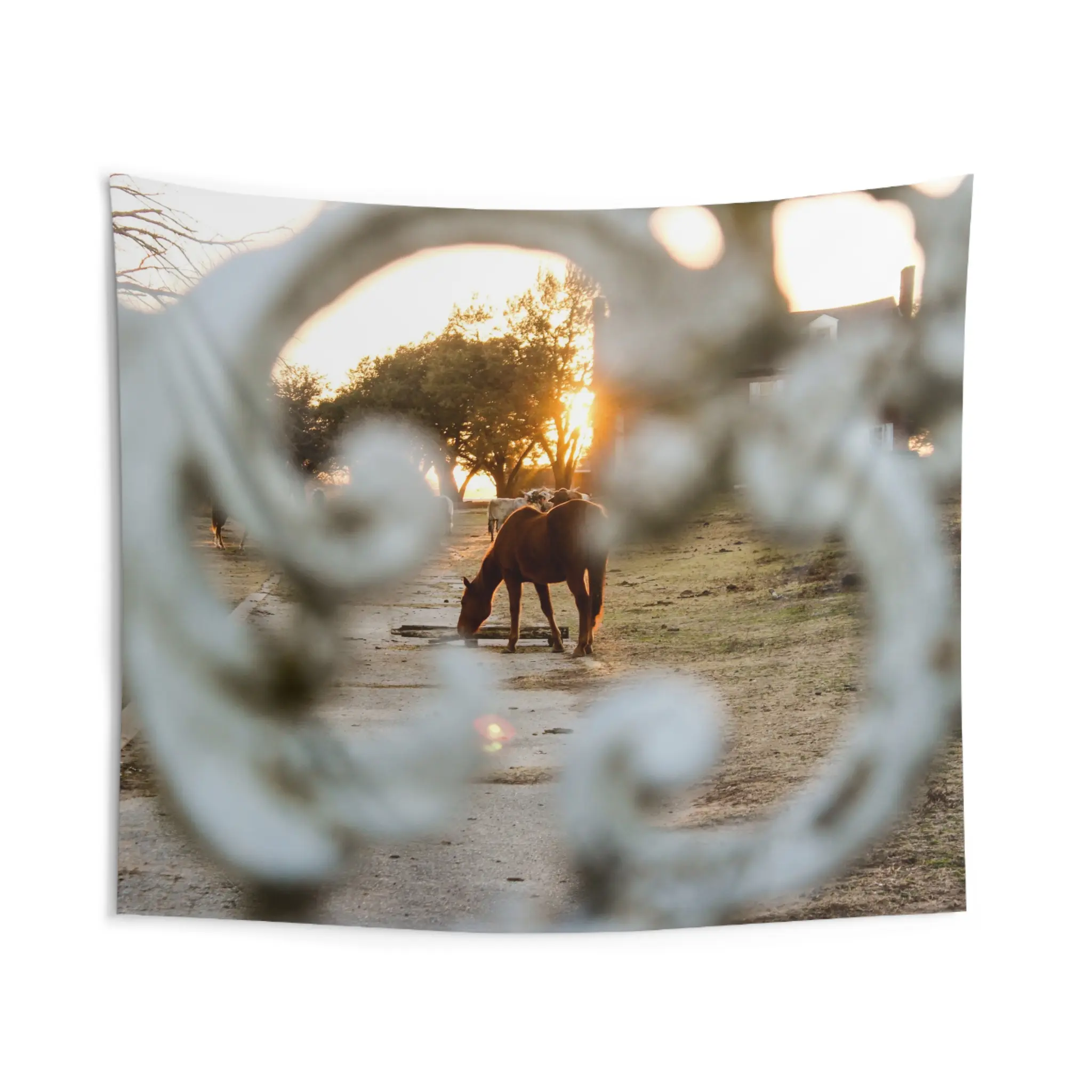 Rustic Texas Horse-Themed Indoor Wall Tapestry, Bohemian Decor, Animal Lover Gift, Cozy Room Accent, Farmhouse Wall Art