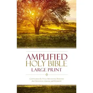 Amplified Holy Bible, Large Print, Hardcover: Captures the Full Meaning Behind the Original Greek and Hebrew by Zondervan [Hardback Book]