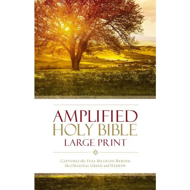 Amplified Holy Bible, Large Print, Hardcover: Captures the Full Meaning Behind the Original Greek and Hebrew by Zondervan [Hardback Book]