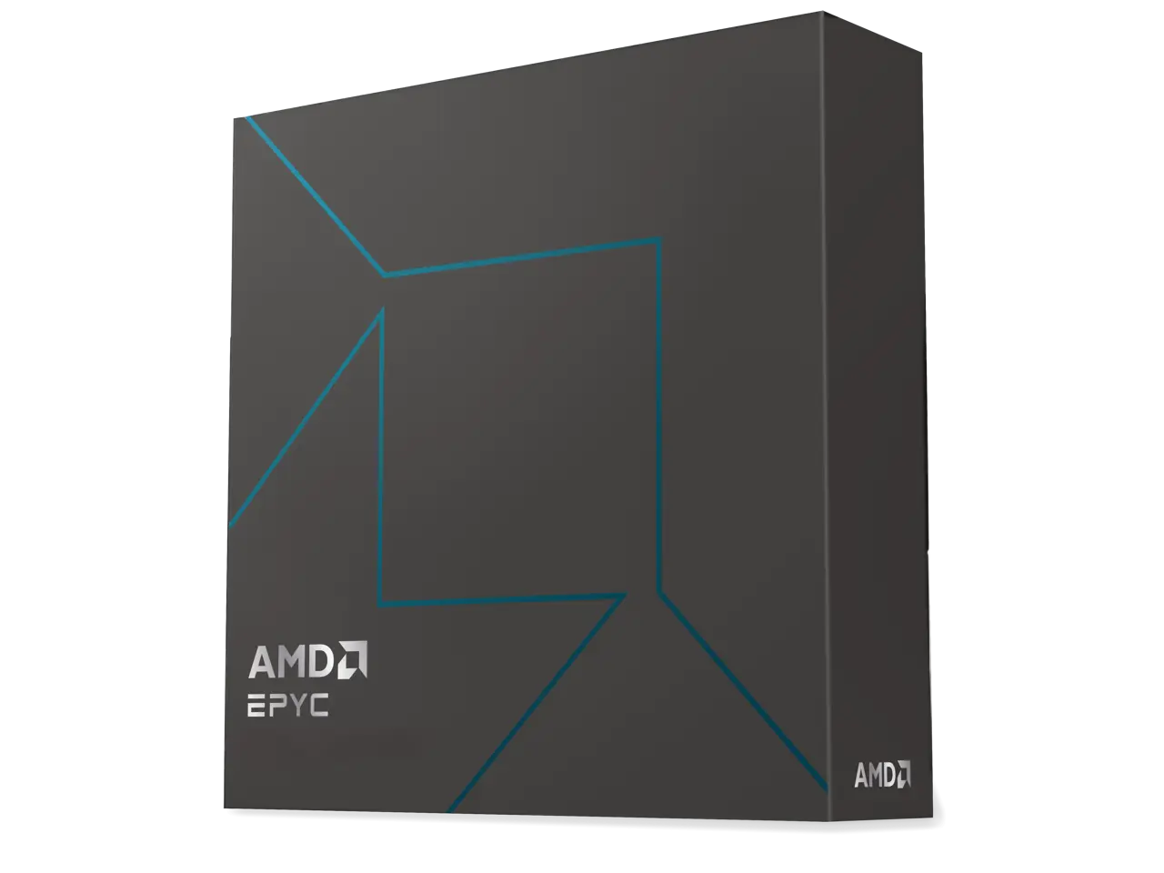 AMD EPYC 4005 (5th Gen) 4545P Hexadeca-core (16 Core) 64MB L3 Cache Socket AM5 65W Processor  processors power affordable, turn-key, easy-to-use, and manageable server solutions. Retail Box - 100-100001764WOF