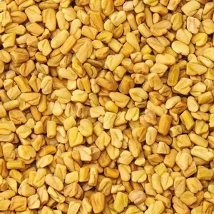 Fenugreek Seeds