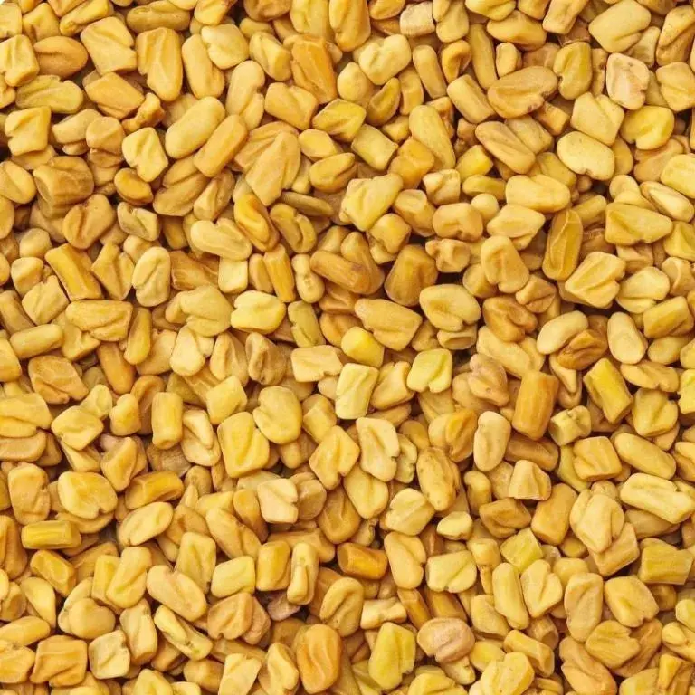 Fenugreek Seeds