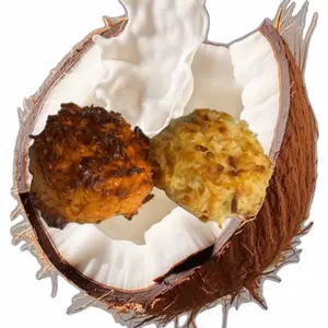 LAS CUATAS-cocadas con su preparado cremoso sabor HORCHATA