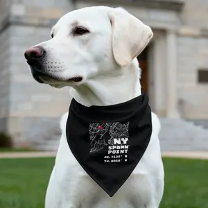 Spawn Point New York Pet Bandana Collar – Gamer Cat-Dog Bandana Streetwear
