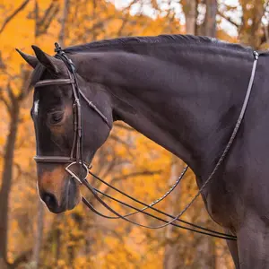 Dura-Tech Heavy Neck Stretcher