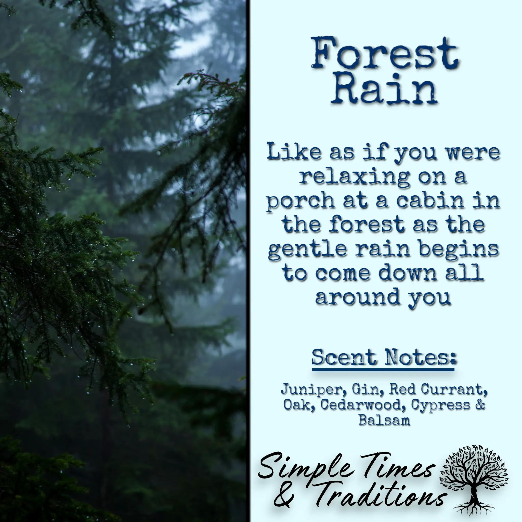 Forest Rain