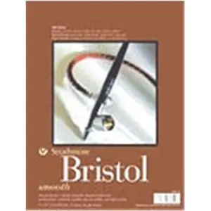 212 MAIN 300 Series Vellum Finish Bristol Board - Acid-Free Drawing Surface, 22.5x28.5 in, Office Stationery Art Supplies