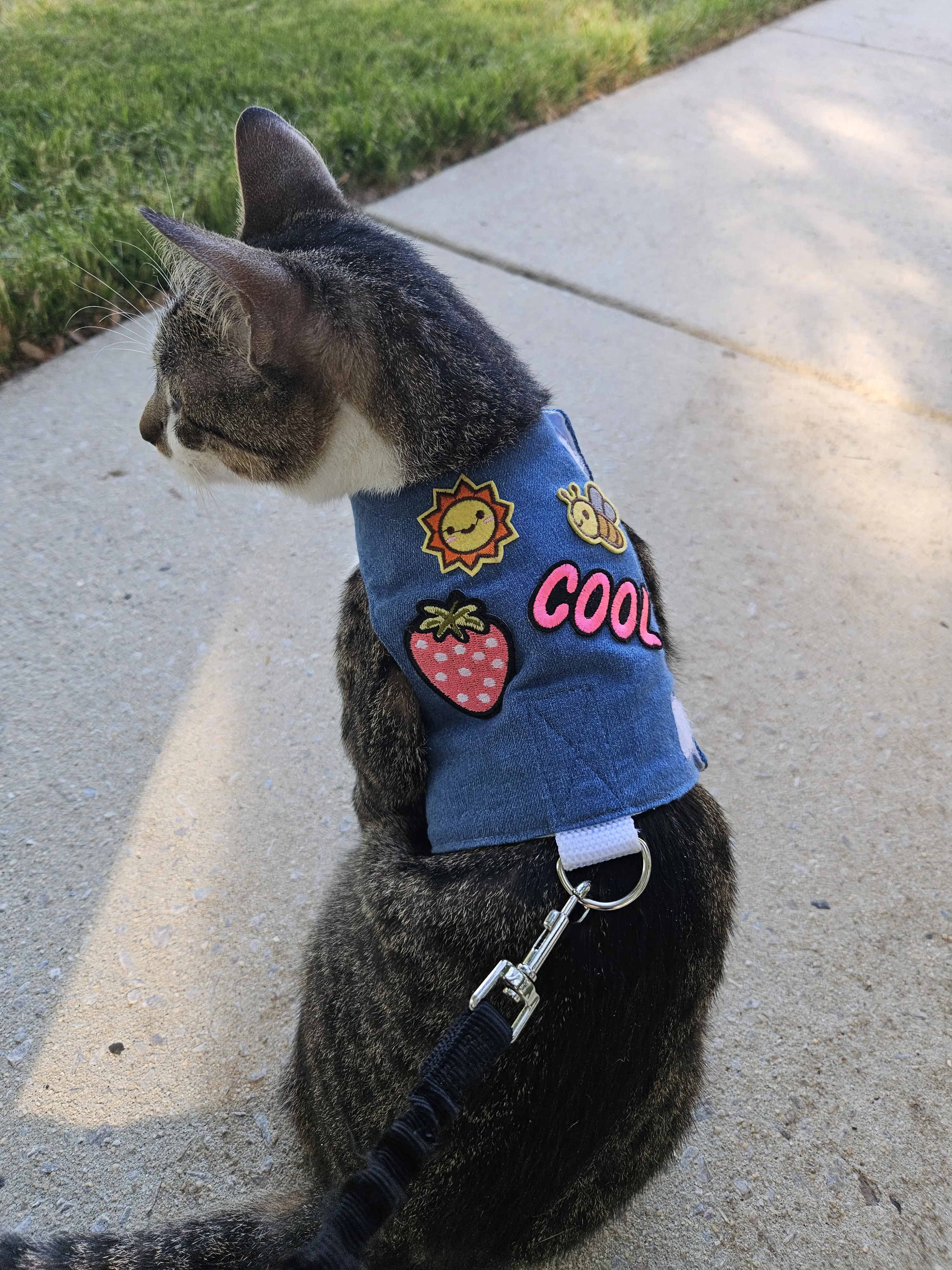 Cat Vest-Style Safety Leash Harness, Premium Adjustable Denim-Look Design, with Leash Attachment for Outdoor Walks, Safety Leash Harnesses