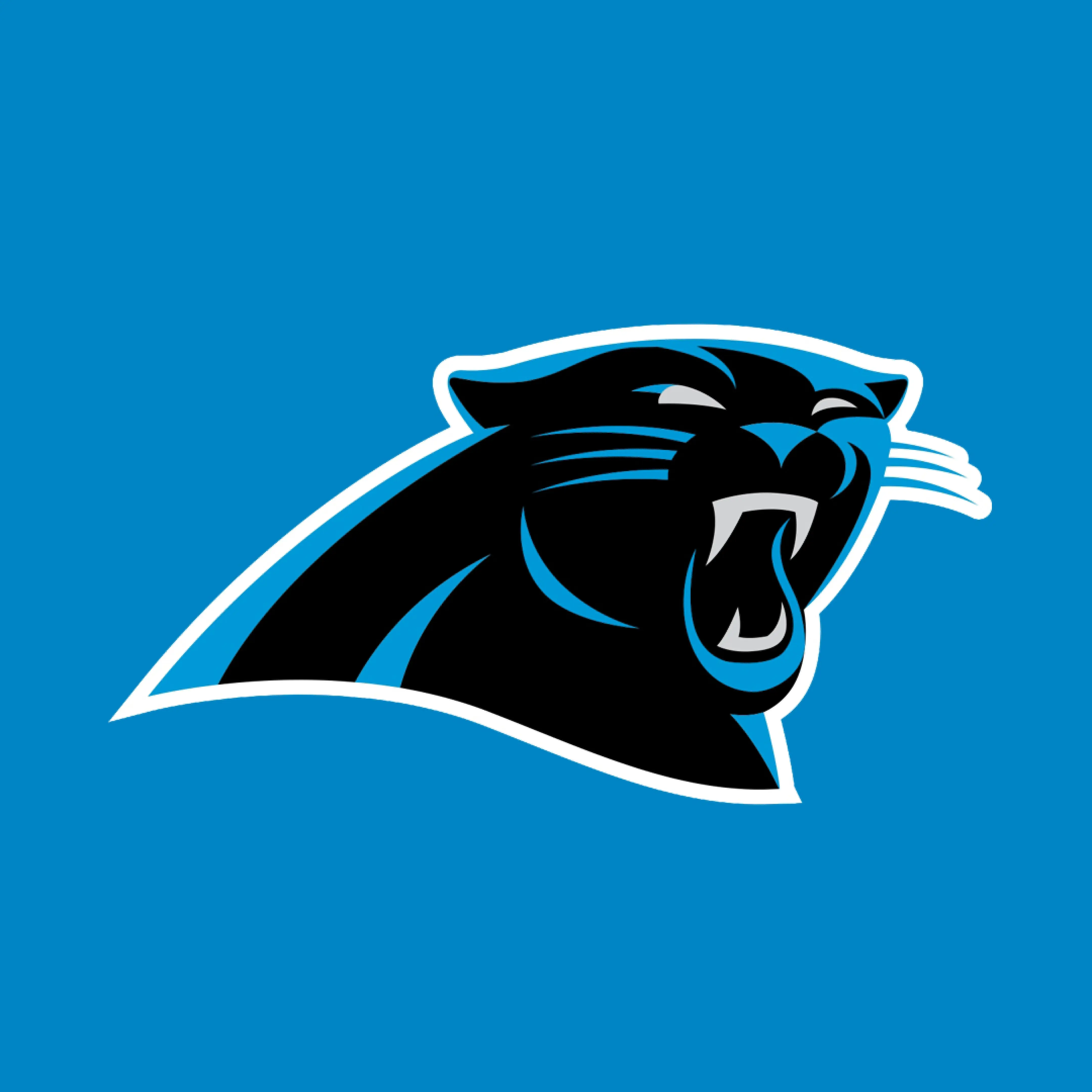 Carolina Panthers 