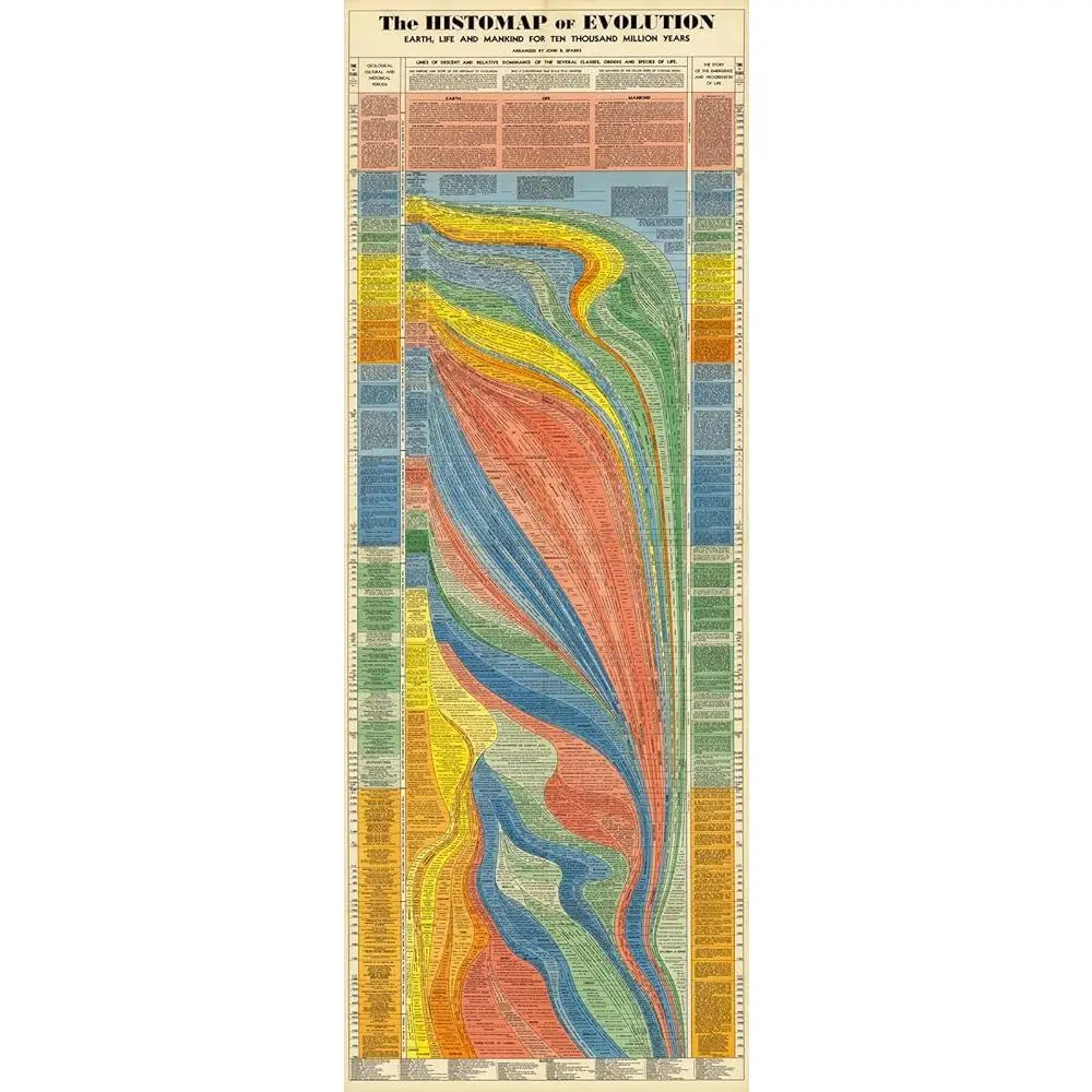 ArtCantHurtU Histomap of Evolution Chart from Cell to Human, Paleontology Timeline Poster 16x43 Inches