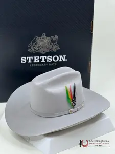 STETSON 10X MIST GREY SHASTA Classic Cowboy Hat with 3-Piece Buckle Accents & Satin Lining High-Quality Leather Patch Hat Made in USA