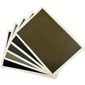 10 Sheets Sanded Pastel Paper of 5 Earth Tone Color,Oil Pastel Paper for Artists, Art Sandpaper for Soft Pastels Oil Acrylic,Pencils & Charcoal Painting (Bulk 10 Sheets 15.4" x 10.7")