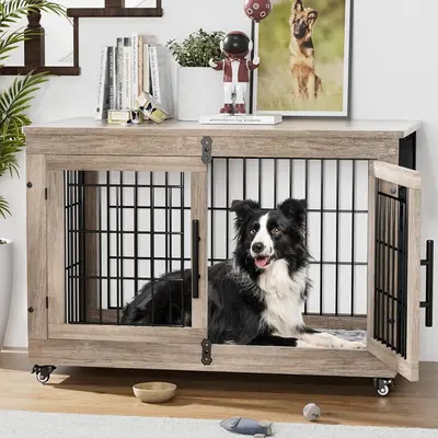 Cage Boots And Barkley Pop Up Kennel Dog Cage Indoor TikTok Shop