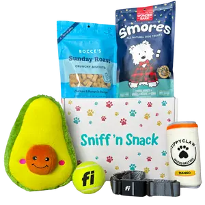 Dog Subscription Box – Treats & Toys for Your Pup | Sniff 'n Snack