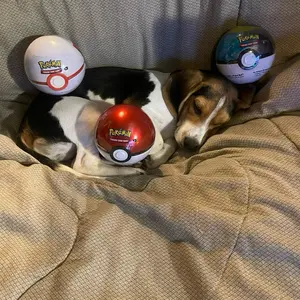 POKEMON: POKEBALL TIN (2024) 3 packs in every POKEBALL tin