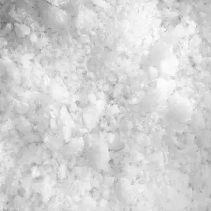 SnoBiz Biodegradable Snow - Regular Flakes