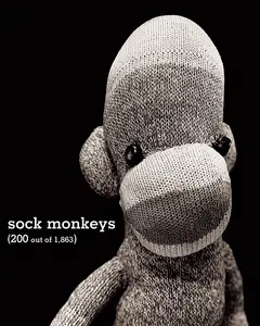 USED-Sock Monkeys: 200 Out of 1,863 by Svenson, Arne (Paperback)