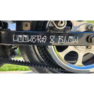 Hookers & Blow Swingarm Decal