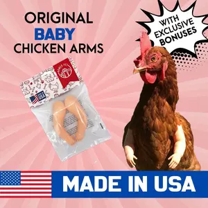 Baby Chicken Arm For Chickens As Seen On FB Chicken Arm Armed Chicken Armed Pet