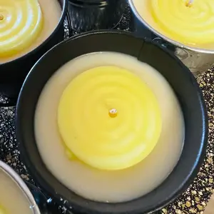 100% Citronella Essential Oil Bucket Candle - 8oz - Goodbye Mosquitos