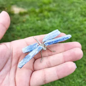 Natural Kyanite Crystal Dragonflies - Blue and Black Kyanite