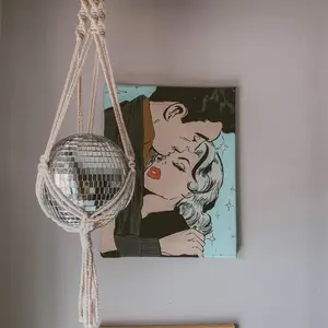 Night at the Roxbury disco ball plant hanger